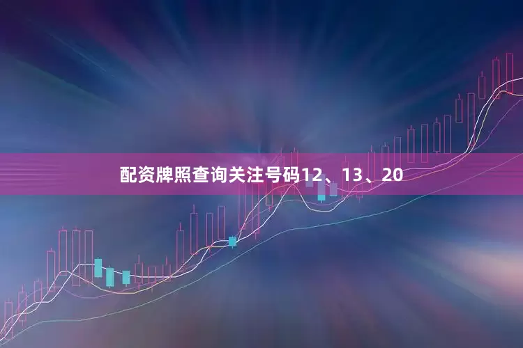 配资牌照查询关注号码12、13、20