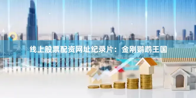 线上股票配资网址纪录片：金刚鹦鹉王国
