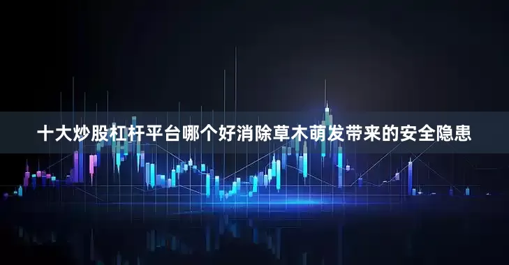 十大炒股杠杆平台哪个好消除草木萌发带来的安全隐患